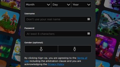 Roblox Username