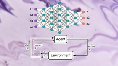 What is the Methodology of Deep Reinforcement Learning