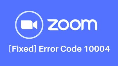 Zoom Install Update Error Code 10004: How to Fix It