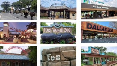 9 Best Zoo in Texas to Meet Wild Animals in the Flesh!