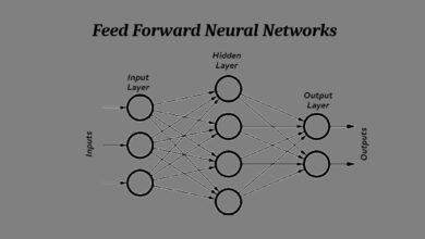 Feed Forward Neural Networks