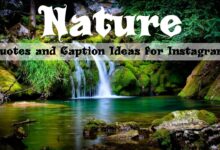 Nature Quotes and Caption Ideas for Instagram