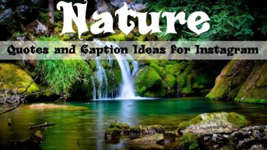 Nature Quotes and Caption Ideas for Instagram