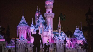 The History of Sleeping Beauty Castle