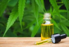 Vaping Cannabidiol and Drug Testing: Unveiling the Risks