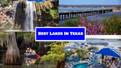 Best Lakes in Texas for a lone star getaway