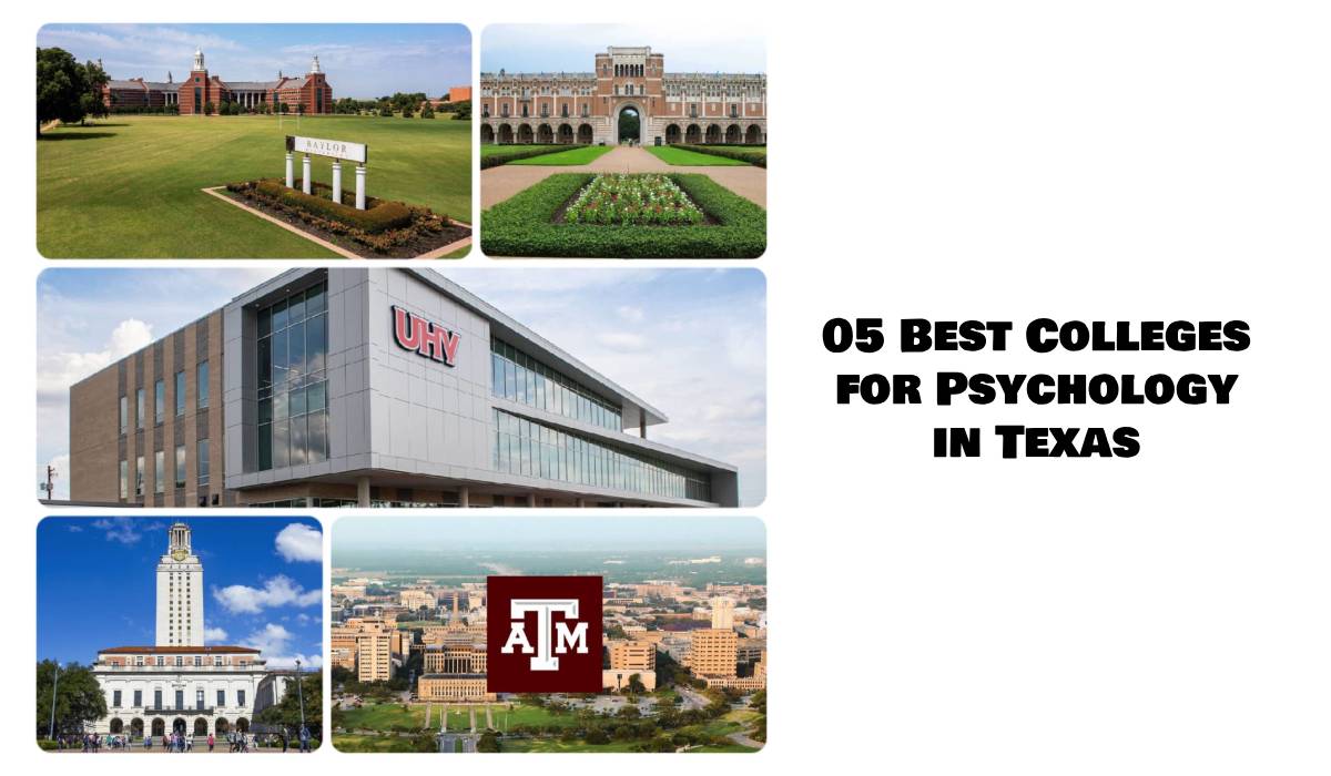 05 Best Colleges for Psychology in Texas