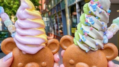 The 10 Best Ice Cream Shops in Texas