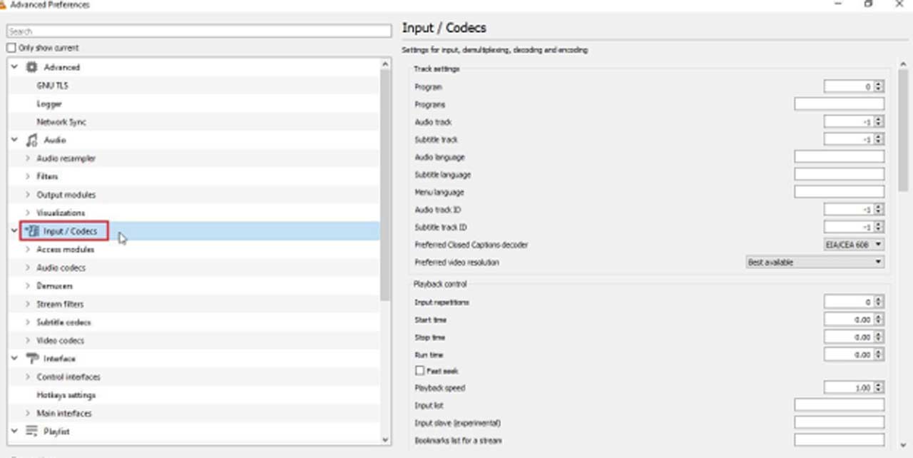 Input/ Codecs