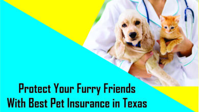 Protect Your Furry Friends With Best Pet Insurance in Texas