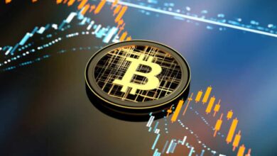 Essential Insights Unveiled: Bitcoin Timelock