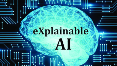 Guide to Explainable AI (XAI) Enhancing Trust in ML Models