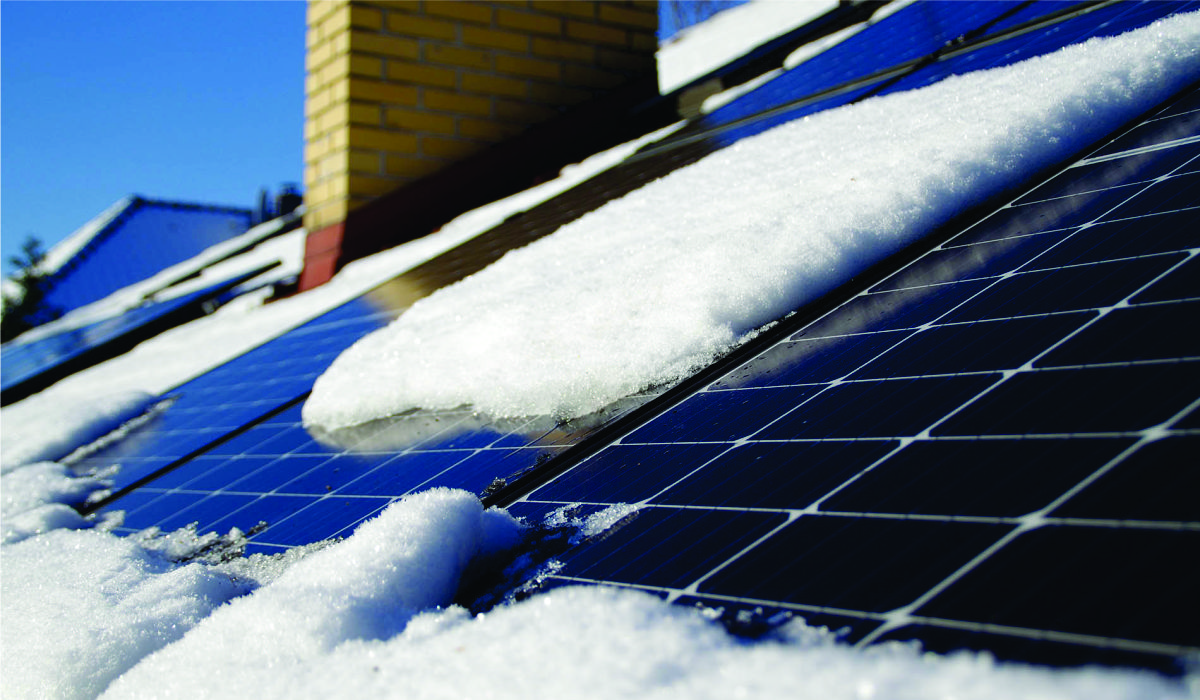 Explore the Best Solar Buy Back Rates in Texas