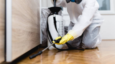 Top Reasons to Prefer Professional Cockroach Pest Control Services