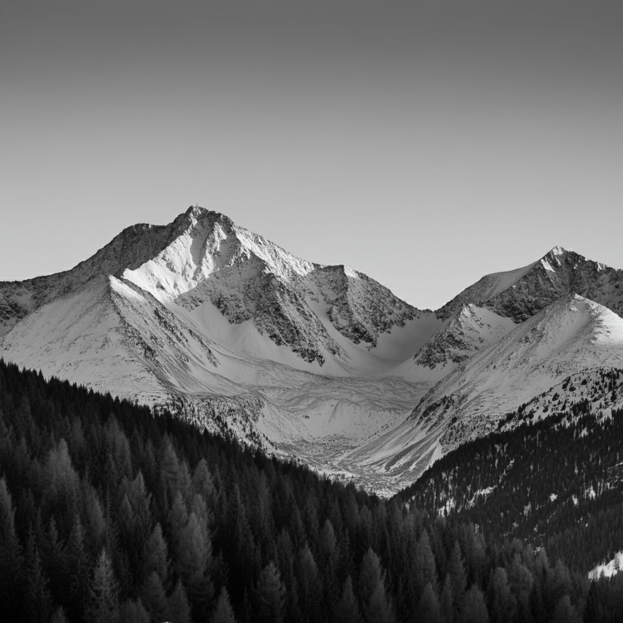 Asking a serene black-and-white landscape photograph-01