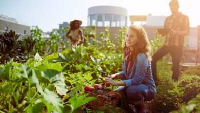 How Urban Farming is Changing the Way We Eat in Cities