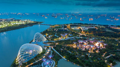 Top 5 Areas in Singapore for Startups and Entrepreneurs