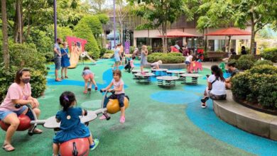 Amazing Reasons Playgrounds Build Strong Communities