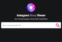 Explore Instagram Story Viewer Anonymously & Securely Today