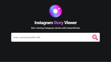 Explore Instagram Story Viewer Anonymously & Securely Today