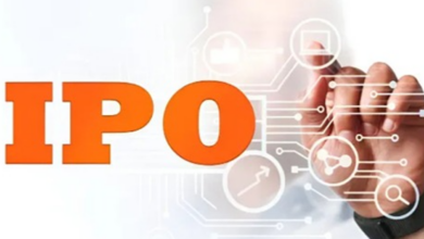 How Long Does IPO Allotment Take and What Happens Next