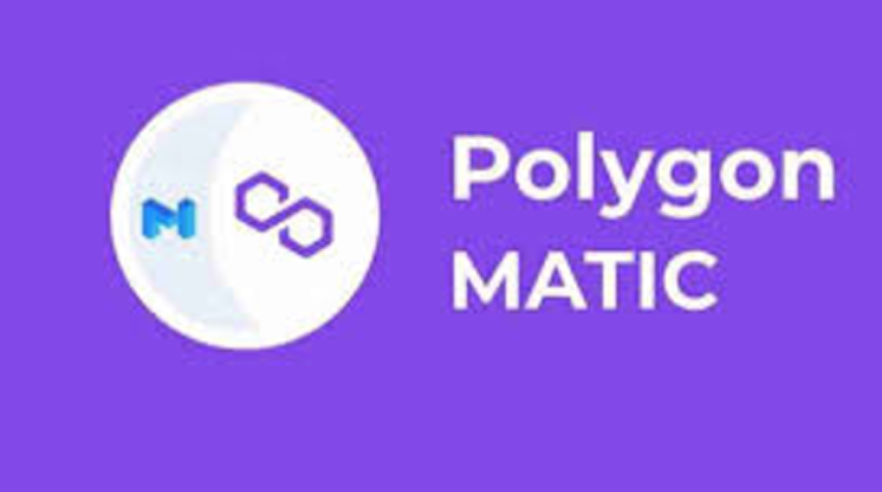 How Do I Store Polygon (Matic) Securely